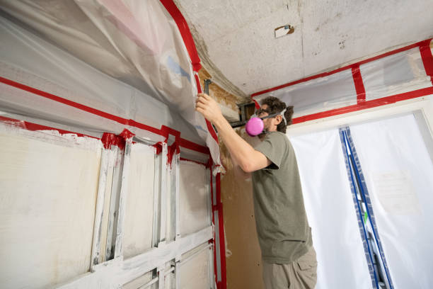 Best Real Estate Mold Inspection  in Nogales, AZ