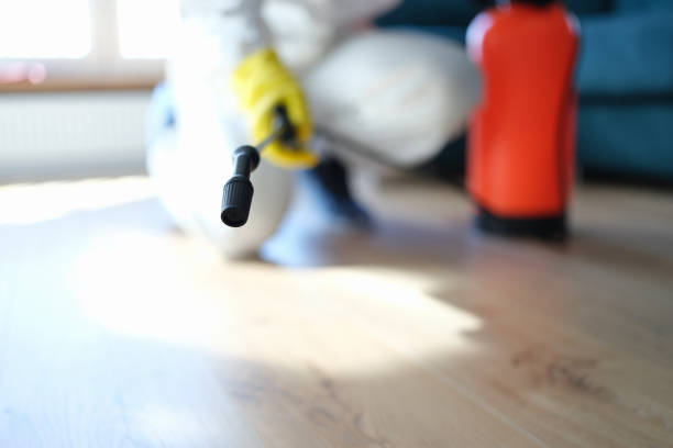 Best Residential Mold Inspection & Testing  in Nogales, AZ